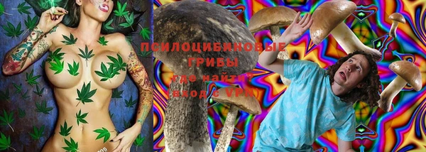 тгк Наволоки